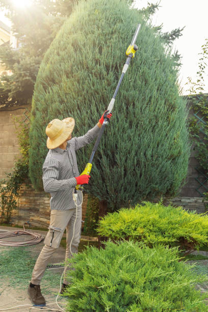 Best Lawn Grading and Leveling  in Seagraves, TX
